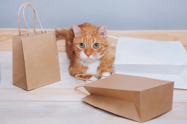 Gato Jengibre Con Bolsas Papel Sobre Fondo Claro — Foto de Stock