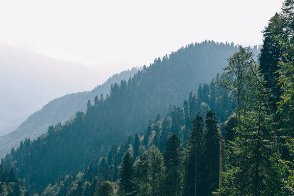 Sochi mountains summer time