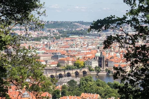 Praga cidade velha panorama ensolarado vista cidade velha armação árvore natural — Fotografia de Stock