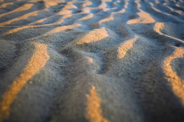 Sand Ripples Shore Gulf Finland — Stock Photo, Image