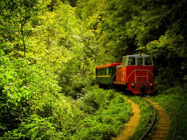 Guam Vadisi 'nde Tren (Krasnodar Bölgesi, Rusya).