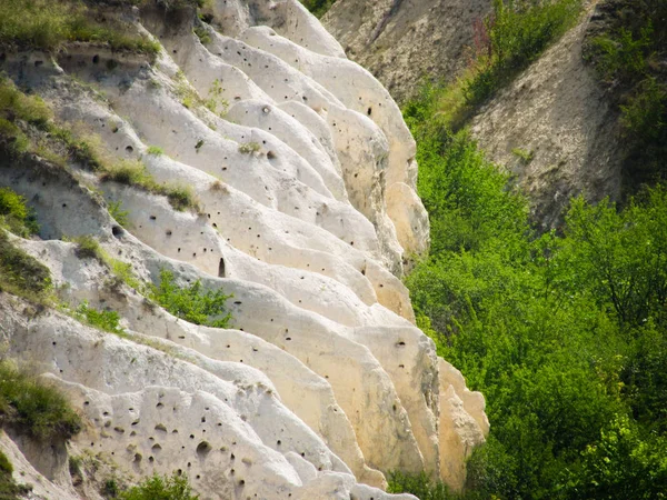Voronezh bölgesindeki Kretase Dağları (Rusya).