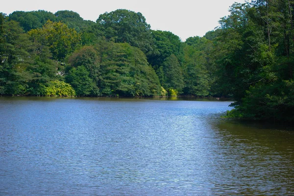 Clove Lakes Park Landscape Scene — Stock Photo, Image