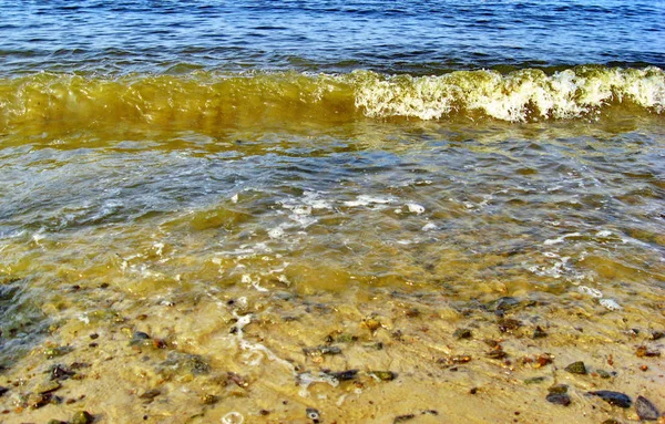 Gyönyörű szörfözés nyáron a strandon — Stock Fotó