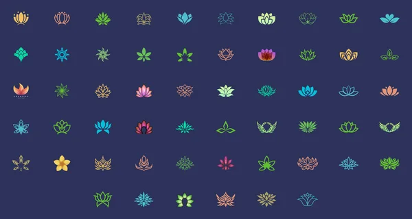 Ensemble Modèle Abstrait Conception Fleur Adapté Pour Logo Entreprise Beauté — Image vectorielle