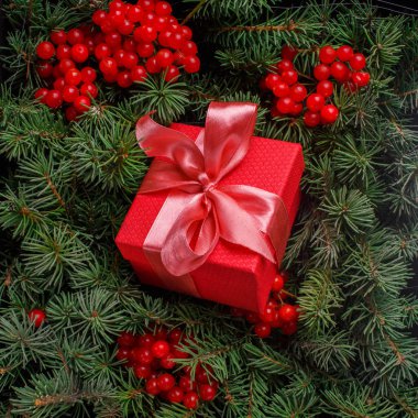 Kırmızı hediye kutusu, saten pembeyle süslenmiş, kırmızı böğürtlenlerle süslenmiş bir Noel ağacının iğnelerine batırılmış..