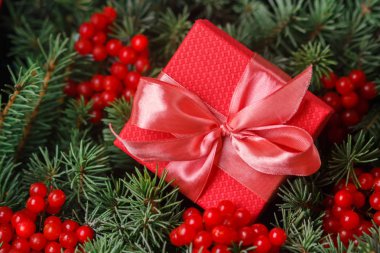 Kırmızı hediye kutusu, saten pembeyle süslenmiş, kırmızı böğürtlenlerle süslenmiş bir Noel ağacının iğnelerine batırılmış..