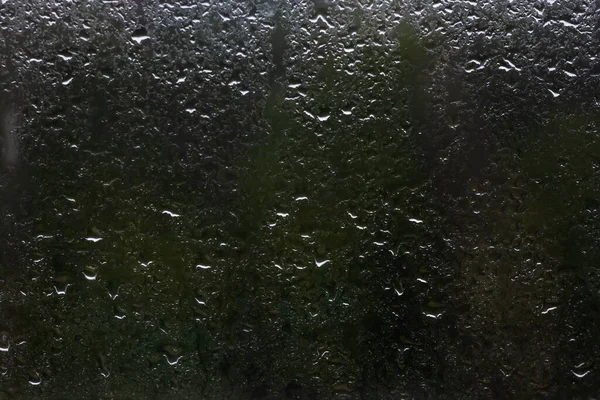Pár kapek deště na okenní sklo zblízka za oknem tmavě zelený les — Stock fotografie