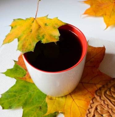 Sonbahar akçaağaç yapraklarının üzerinde, kırmızı kahve ve beyaz fincan. Sarı akçaağaç yaprağı. Bir fincan kurabiyenin yanında..