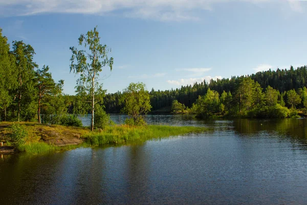 Beautiful landscape of a calm lake on summer day, among a green forest under a blue sky — Stock Photo, Image