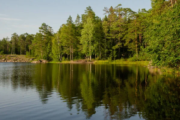 Grön skog en solig dag återspeglas i det lugna vattnet i sjön — Stockfoto