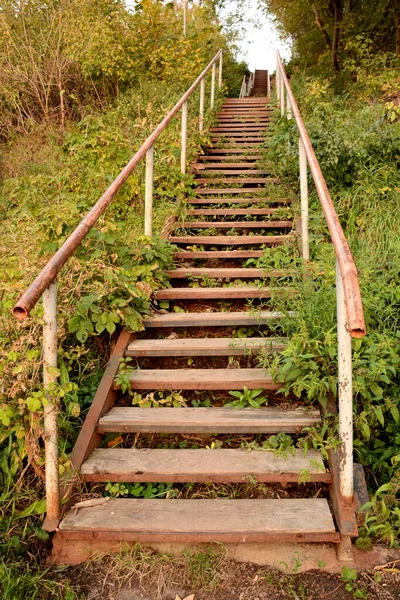 Old wooden staircase with iron railings in thickets of trees and grass.