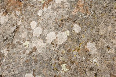 Arka plan Gabbro diabase volkanik kaya. Granit yüzey karışımı