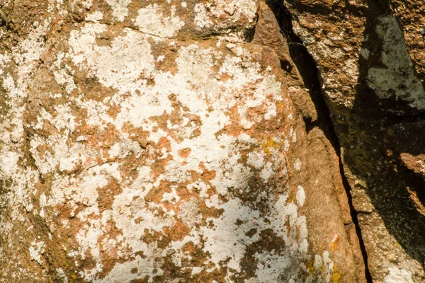 Fondo Pietra Superficie Strutturata Muschio Lichene Superficie Pietra Naturale — Foto Stock