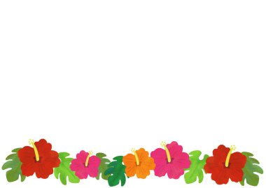  Hibiscus arkaplan illüstrasyonu / Beckler