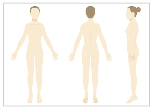 Mujer Cuerpo Entero Desnudo Sin Rostro — Vector de stock