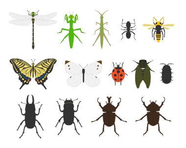Insect illustration set material / vector clipart