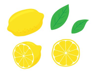 Lemon illüstrasyon kümesi materyal / vektörü