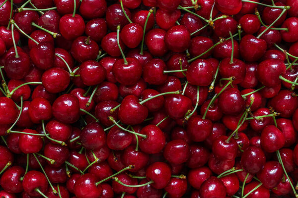 Много красной вишни с зелеными веточками

