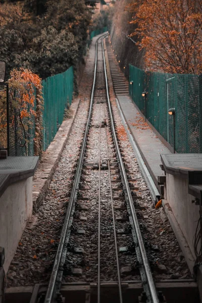 Kolejnice horského kopce provazy mezi podzimními stromy. — Stock fotografie