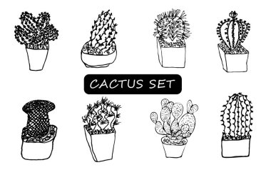 Saksıdaki çiçekler beyaz arka plana siyah çizgi çizdiler. Vektör çizim çizgileri