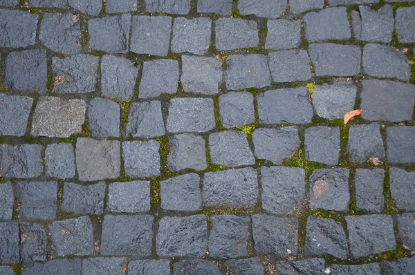 Pedra Velha Parede Tijolo — Fotografia de Stock