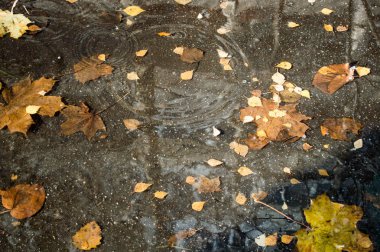 Su birikintisine yağmur yağıyor