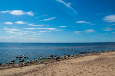Finlandiya Körfezi 'ndeki kumsal 