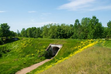 Yeşil ormandaki çevre yolu.