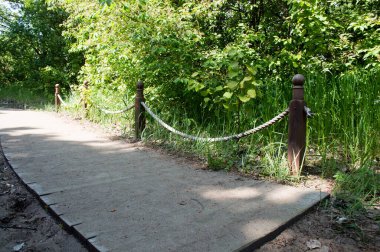 Sahile giden patika.