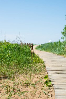 Sahile giden patika.