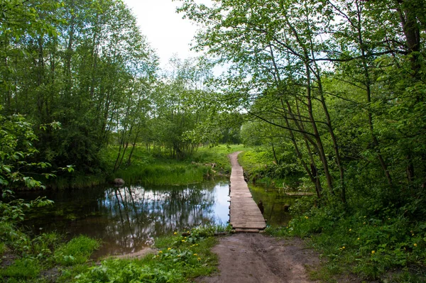 Drewniany Most Nad Rzeką Lesie — Zdjęcie stockowe