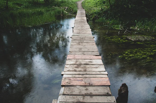 Ξύλινη Γέφυρα Πάνω Από Ποτάμι Στο Δάσος — Φωτογραφία Αρχείου