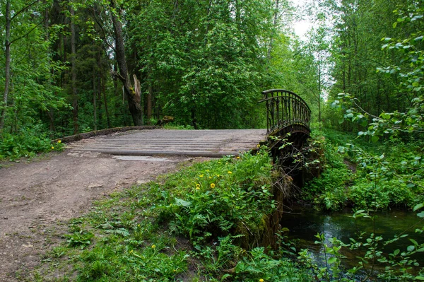 Houten Brug Rivier Het Bos — Stockfoto