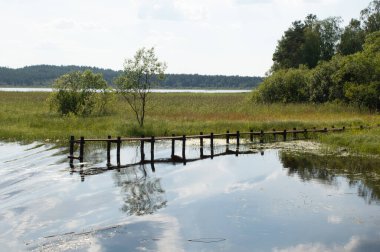 Orman gölündeki ahşap iskele.