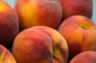 Masada taze şeftali var.