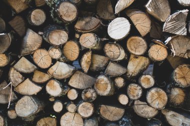 Eski ahşabın dokusu 