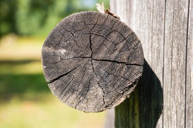 Eski ahşabın dokusu 