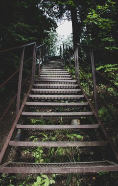 Ormandaki eski metal merdivenler.