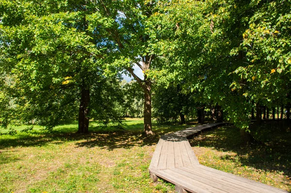 Houten Voetpad Het Zomerwoud — Stockfoto