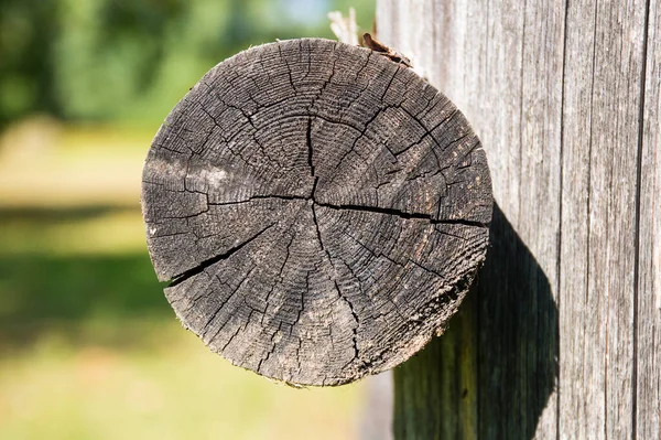 Eski ahşabın dokusu 