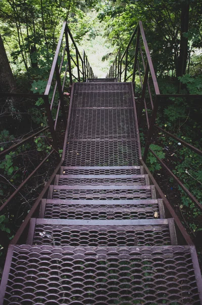 old metal stairs in the forest