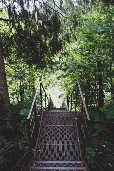 Viejas Escaleras Metal Bosque — Foto de Stock