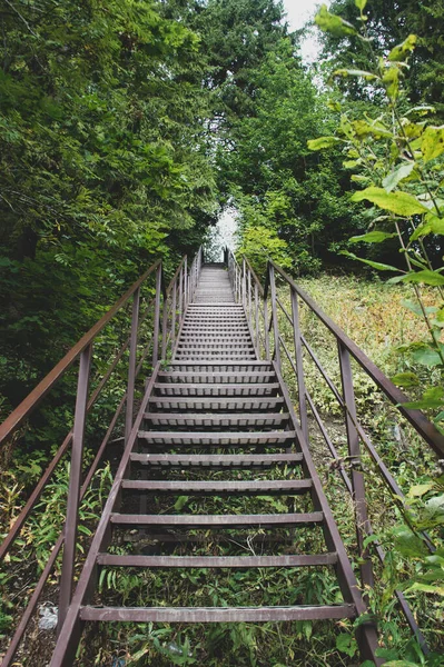 Старые Металлические Лестницы Лесу — стоковое фото