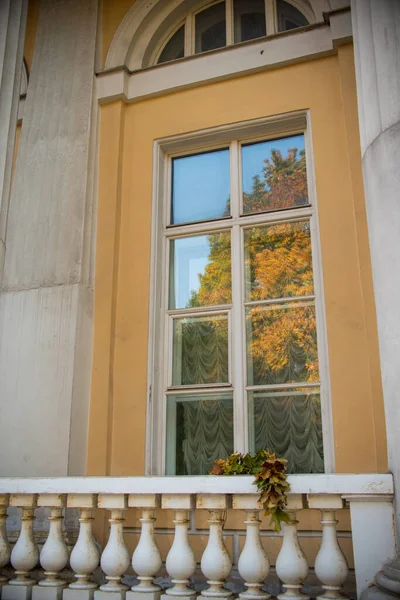 현관과 건물의 창문에 노란색 외출복 — 스톡 사진