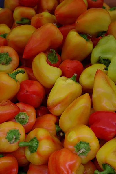 Parlak, çok güzel, çok renkli paprika arkaplanını veya dokusunu kapat