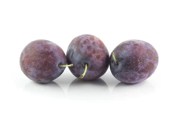 Some Dark Plums Detached Tree White Background — Stock Photo, Image