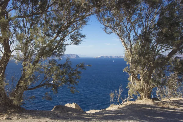 Vista Entre Árvores Mar Caldera Santorini Grécia — Fotografia de Stock