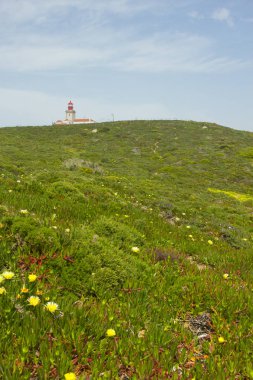 Cabo de Roca Portekiz yılında deniz feneri