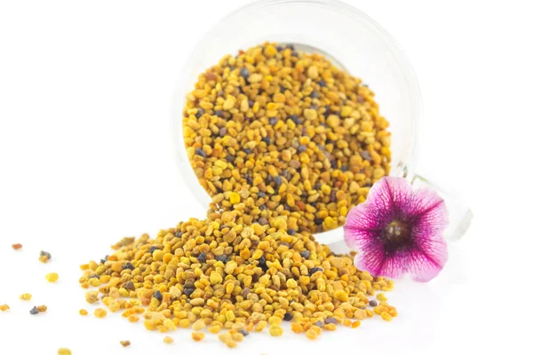 Polen taneleri tatlım ve beyaz arka plan üzerinde çiçek 